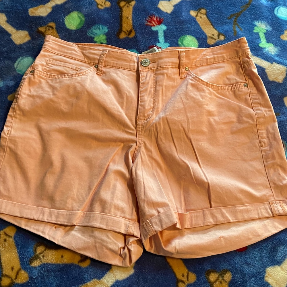 EUC Vintage America Blues Size 12 Peach Shorts